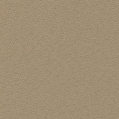 Grade C - Foundation Angora